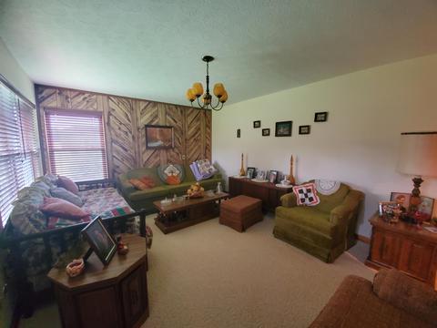 1575 Willow Tree Rd, Ewing, VA 24248 photo 9