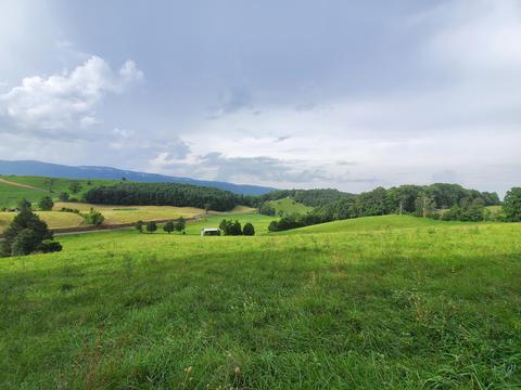 1575 Willow Tree Rd, Ewing, VA 24248 photo 32