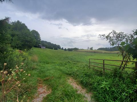 1575 Willow Tree Rd, Ewing, VA 24248 photo 38