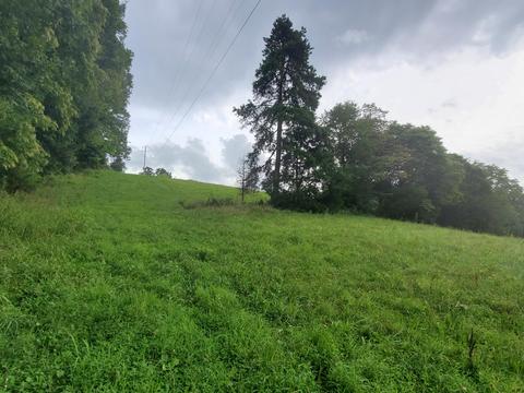 1575 Willow Tree Rd, Ewing, VA 24248 photo 36