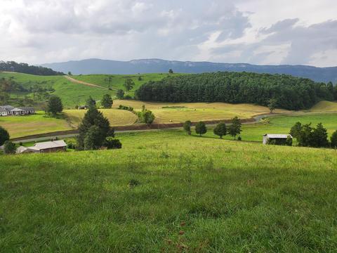 1575 Willow Tree Rd, Ewing, VA 24248 photo 31