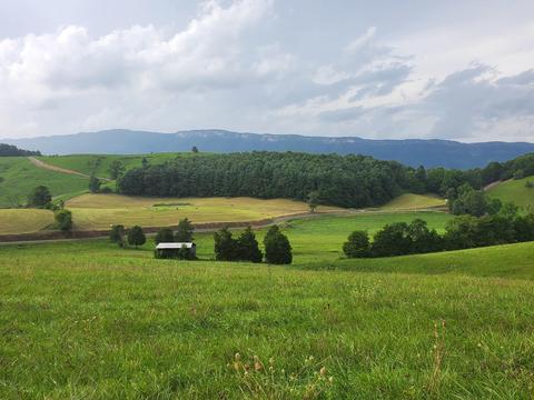 1575 Willow Tree Rd, Ewing, VA 24248 photo 30