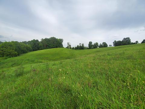 1575 Willow Tree Rd, Ewing, VA 24248 photo 34