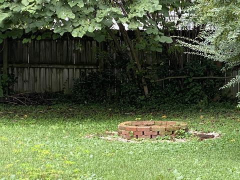 306 Exeter Ave, Middlesboro, KY 40965 photo 6