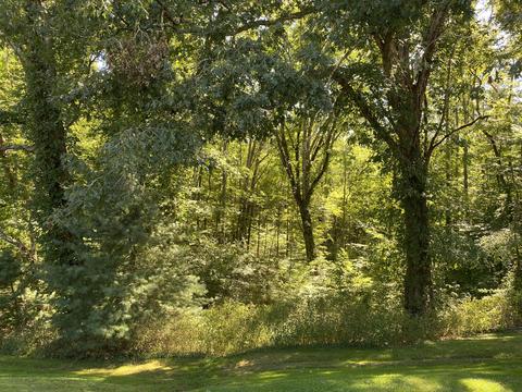 183 Bear Rd, Keokee, VA 24265 photo 15