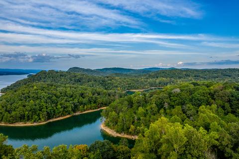 7505 Evolene Cir, Talbott, TN 37877 photo 26