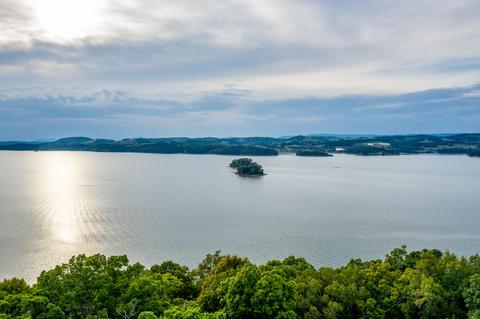 7505 Evolene Cir, Talbott, TN 37877 photo 20
