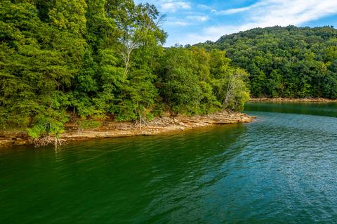 7505 Evolene Cir, Talbott, TN 37877 photo 1