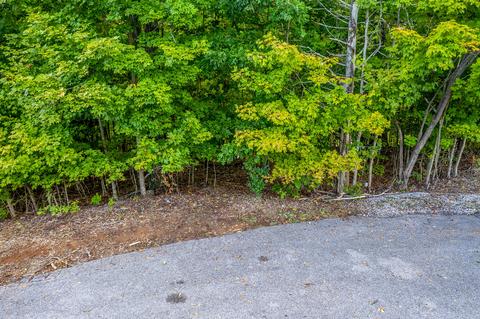 7505 Evolene Cir, Talbott, TN 37877 photo 18