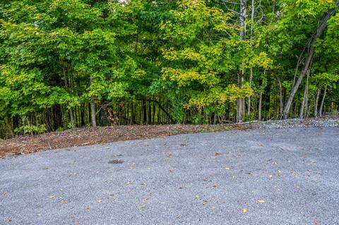 7505 Evolene Cir, Talbott, TN 37877 photo 17