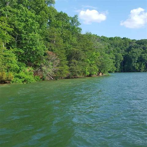 7505 Evolene Cir, Talbott, TN 37877 photo 6