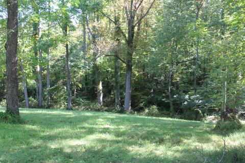 763 Allred Rd, Clarkrange, TN 38553 photo 23