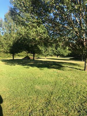 8403 Emory Rd, Corryton, TN 37721 photo 3