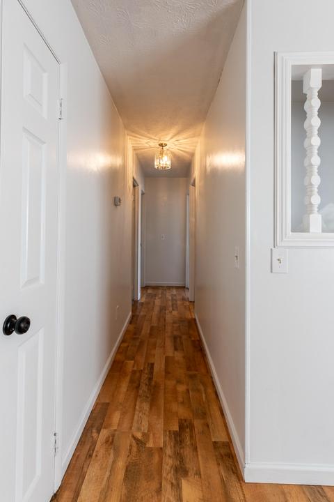 169 Euclid Ave, Harrogate, TN 37752 photo 14