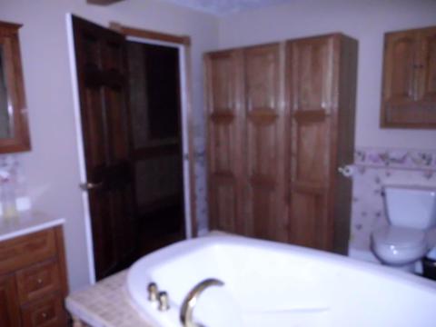 229 Wolfe Dr, Farner, TN 37333 photo 25