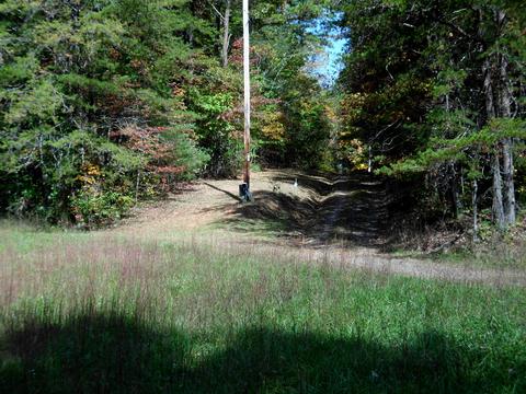 229 Wolfe Dr, Farner, TN 37333 photo 37
