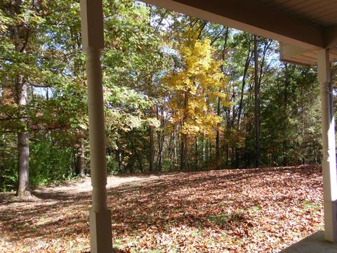 229 Wolfe Dr, Farner, TN 37333 photo 26