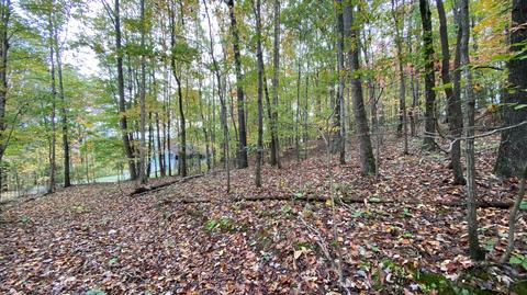 8632 Conner Rd, Powell, TN 37849 photo 37