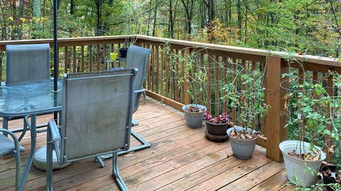 8632 Conner Rd, Powell, TN 37849 photo 15