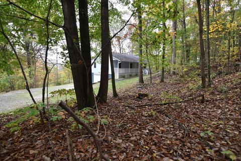 8632 Conner Rd, Powell, TN 37849 photo 36