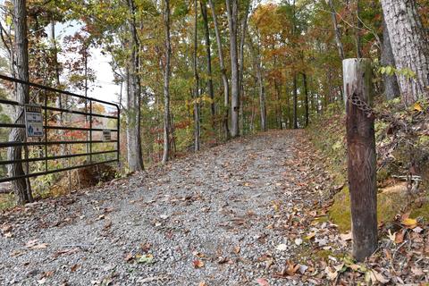 8632 Conner Rd, Powell, TN 37849 photo 4
