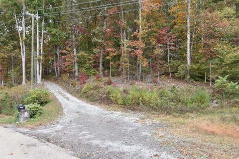 8632 Conner Rd, Powell, TN 37849 photo 3