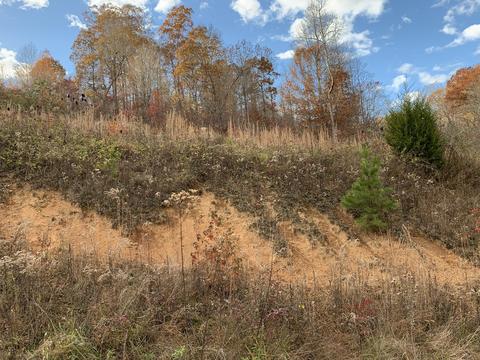 Lot 71 Cameron Loop, La Follette, TN 37766