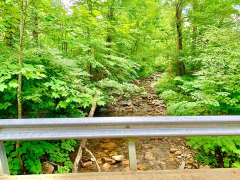 404 Cassi Rd, Chuckey, TN 37641 photo 31