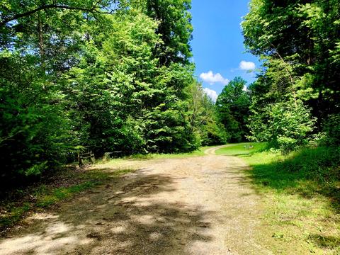 404 Cassi Rd, Chuckey, TN 37641 photo 28