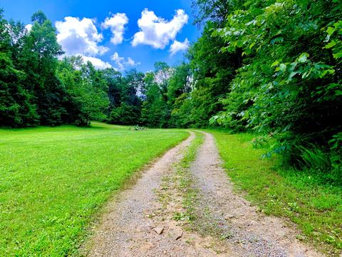 404 Cassi Rd, Chuckey, TN 37641 photo 29