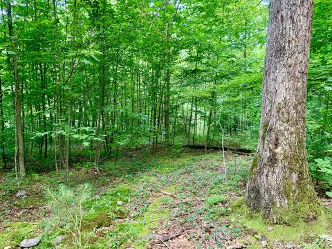 404 Cassi Rd, Chuckey, TN 37641 photo 12