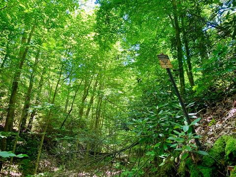 404 Cassi Rd, Chuckey, TN 37641 photo 27