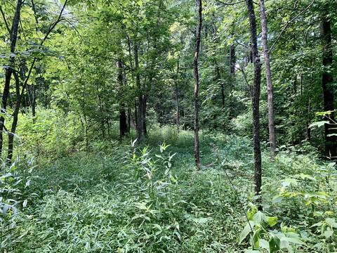 404 Cassi Rd, Chuckey, TN 37641 photo 5