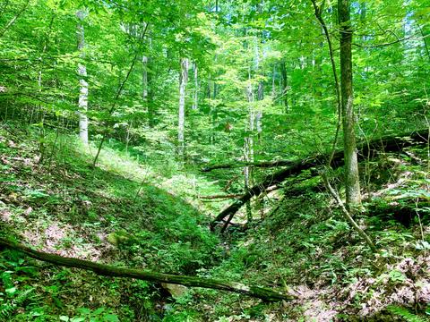 404 Cassi Rd, Chuckey, TN 37641 photo 21