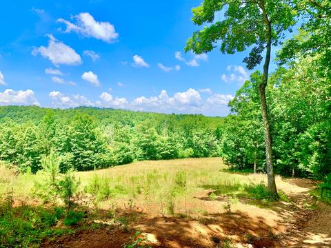404 Cassi Rd, Chuckey, TN 37641 photo 24