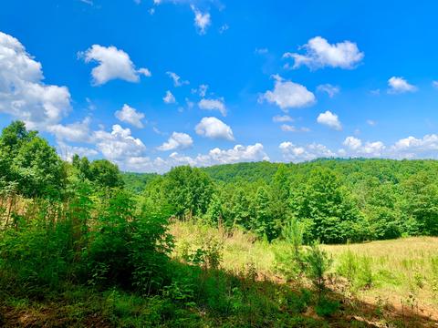 404 Cassi Rd, Chuckey, TN 37641 photo 25