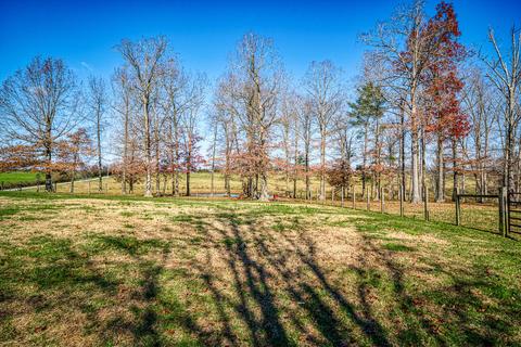1165 Lloyd Hall Loop, Deer Lodge, TN 37726 photo 9