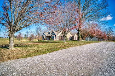 1165 Lloyd Hall Loop, Deer Lodge, TN 37726 photo 4
