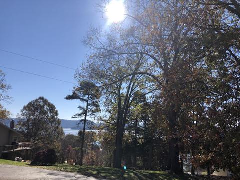 169 Pine Fork Rd, Rutledge, TN 37861 photo 10