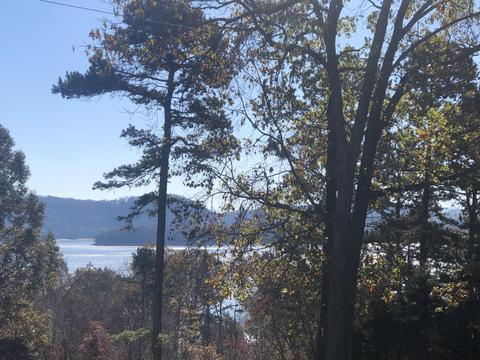 169 Pine Fork Rd, Rutledge, TN 37861 photo 12
