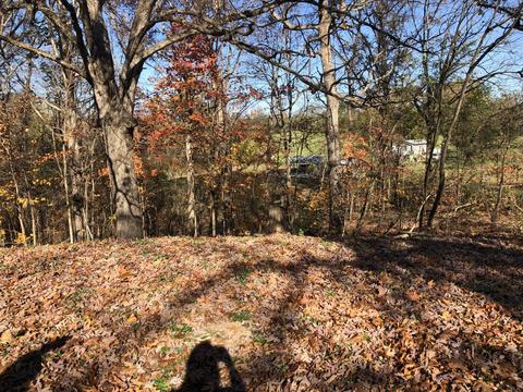 169 Pine Fork Rd, Rutledge, TN 37861 photo 6