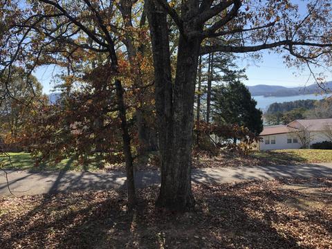 169 Pine Fork Rd, Rutledge, TN 37861 photo 11