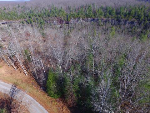 77 Bluff View Loop, Allardt, TN 38504 photo 6