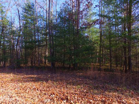 77 Bluff View Loop, Allardt, TN 38504 photo 10