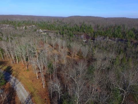 77 Bluff View Loop, Allardt, TN 38504 photo 8