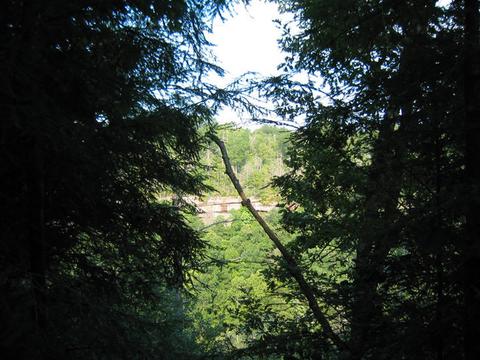 77 Bluff View Loop, Allardt, TN 38504 photo 5