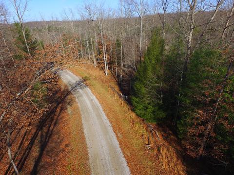 77 Bluff View Loop, Allardt, TN 38504 photo 9