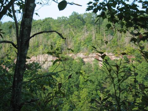 77 Bluff View Loop, Allardt, TN 38504 photo 2