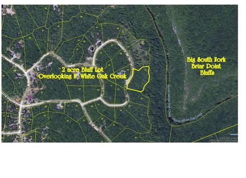 77 Bluff View Loop, Allardt, TN 38504 photo 3