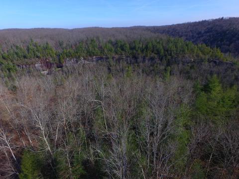 77 Bluff View Loop, Allardt, TN 38504 photo 7